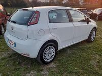 Usata Fiat Punto Easy 77 CV (56 kW) 2013 Bianco Berlina