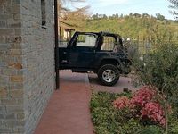 Usata Jeep Wrangler Sport 147 CV (108 kW) 2003 Blu SUV