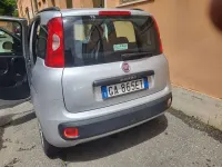 Usata Fiat Panda Active 60 CV (44 kW) 2020 Argento Utilitaria