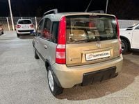 Usata Fiat Panda Climbing 59 CV (43 kW) 2008 Oro Utilitaria