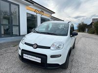 Usata Fiat Panda City Life 70 CV (51 kW) 2022 Bianco Utilitaria