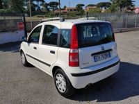 usata Fiat Panda 1.2 Dynamic 5 POSTI E5 NEOPATENTATI O