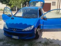 Usata Peugeot 206 60 CV (44 kW) 2005 Bluazzurro Berlina