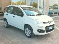 Usata Fiat Panda Easy 70 CV (51 kW) 2018 Bianco Utilitaria