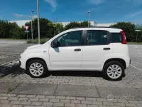 Usata Fiat Panda Active 85 CV (62 kW) 2013 Utilitaria