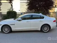 Usata Jaguar XE 163 CV (119 kW) 2019 Bianco Berlina