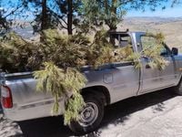 Usata Toyota HiLux 97 CV (71 kW) 2002 Pick-up