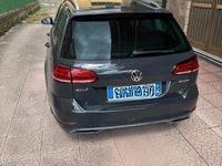 Usata VW Golf VIII Business 131 CV (96 kW) 2020 Grigio Station wagon
