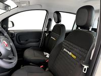Usata Fiat Panda 70 CV (51 kW) 2024 Bianco Utilitaria