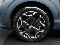 Usata Cupra Terramar 150 CV (110 kW) 2025 Blu SUV