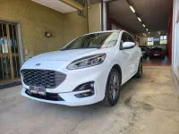 Usata Ford Kuga ST-Line 152 CV (111 kW) 2023 Bianco SUV