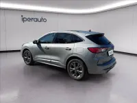 Usata Ford Kuga ST-Line X 225 CV (165 kW) 2023 Argento SUV