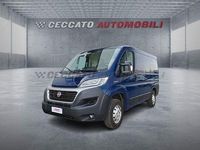Usata Fiat Ducato 116 CV (85 kW) 2019 Blu Furgone
