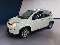 Usata Fiat Panda S 69 CV (50 kW) 2023 Bianco Berlina