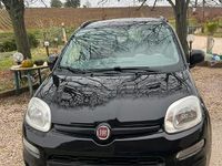 Usata Fiat Panda 85 CV (62 kW) 2014 Nero Berlina