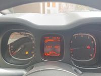 Usata Fiat Panda Lounge 85 CV (62 kW) 2020 Bianco Utilitaria