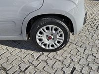 Usata Fiat Panda S 70 CV (51 kW) 2021 Grigio Utilitaria