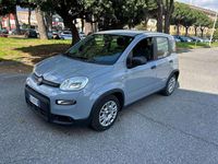 Begagnad Fiat Panda 69 HK (50 kW) 2022 Grå Halvkombi