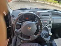 Usata Fiat Panda 60 CV (44 kW) 2009 Utilitaria