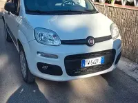 Usata Fiat Panda 4x4 85 CV (62 kW) 2019 Bianco Utilitaria