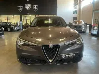 Usata Alfa Romeo Stelvio Business 160 CV (117 kW) 2019 SUV