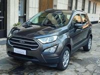 Usata Ford Ecosport 101 CV (74 kW) 2019 Grigio SUV