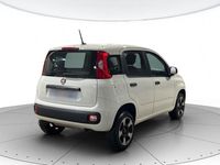 Usata Fiat Panda Easy 70 CV (51 kW) 2020 Bianco gelato Utilitaria