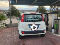 Usata Fiat Panda 69 CV (50 kW) 2015 Bianco Utilitaria