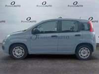 Usata Fiat Panda Easy 95 CV (69 kW) 2018 Grigio Utilitaria