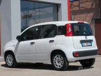 Usata Fiat Panda Easy 69 CV (50 kW) 2020 Bianco Utilitaria