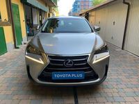 usata Lexus NX300 300h 2.5 Executive 4wd cvt