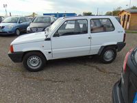 usata Fiat Panda -- 900 i.e. cat