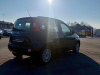 Usata Fiat Panda Lounge 75 CV (55 kW) 2014 Nero Utilitaria