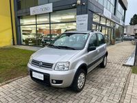 Usata Fiat Panda 4x4 Climbing 60 CV (44 kW) 2007 Argento Utilitaria