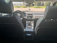 Usata Land Rover Range Rover evoque 150 CV (110 kW) 2016 Bianco SUV