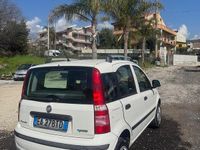 Usata Fiat Panda Dynamic 60 CV (44 kW) 2010 Bianco Utilitaria