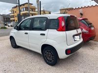 usata Fiat Panda 1.2 69Cv GPL Easy My19 - IMPIANTO "BRC" NUOVO!