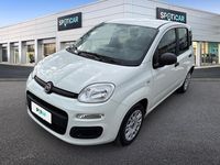 Usata Fiat Panda S 70 CV (51 kW) 2021 Bianco Utilitaria