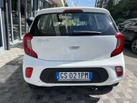 Usata Kia Picanto Urban 67 CV (49 kW) 2024 Bianco Utilitaria