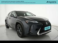 Usata Lexus UX 250h 145 CV (106 kW) 2024 Grigio SUV