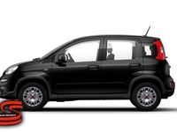 usata Fiat Panda 1.0 1.0 FireFly S&S Hybrid NUOVA DA IMMATRICOLARE