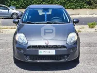 Usata Fiat Punto Street 77 CV (56 kW) 2016 Grigio Utilitaria