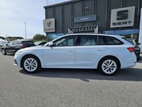 usata Skoda Octavia G-TEC Station Wagon 1.5 DSG Wagon Executive del 2021 usata a Livorno