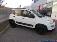 usata Fiat Panda 4x4 0.9 TwinAir Turbo S&S