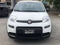 Usata Fiat Panda City Life 69 CV (50 kW) 2023 Bianco pastello Utilitaria