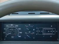 Usata Fiat Panda 4x4 Trekking 54 CV (39 kW) 1999 Blu Utilitaria