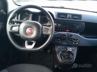 usata Fiat Panda 1.2 69cv Easy