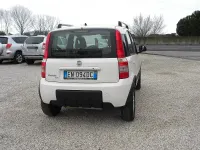Usata Fiat Panda 4x4 Climbing 75 CV (55 kW) 2012 Bianco Utilitaria