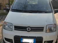 Occasion Fiat Panda 4x4 Climbing 60 ch (44 kW) 2008 Blanc Citadine