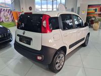 Usata Fiat Panda 4x4 95 CV (69 kW) 2016 Bianco Utilitaria
